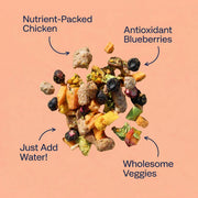Purebowl Starter Box