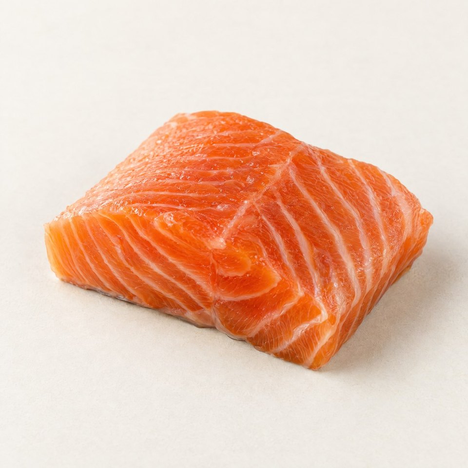 Salmon